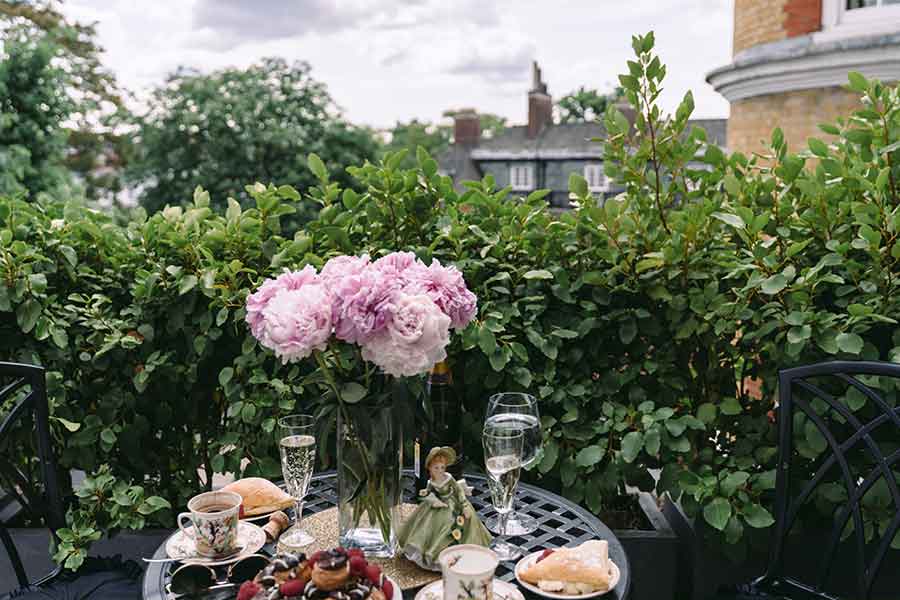 Charlotte County Venice FLORIDA Lawn Care Service