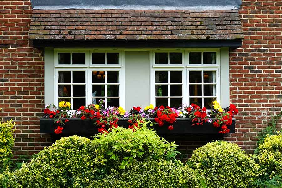 Charlotte County FLORIDA Lawn Care Service